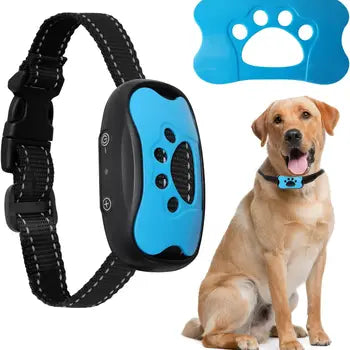 Halsband Anti Blaffen voor Honden Traineren