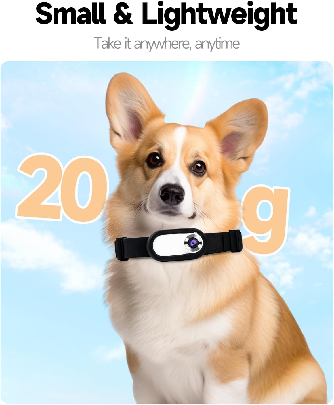 PetCam Halsband Camera - HD Mini Opname voor Honden en Katten