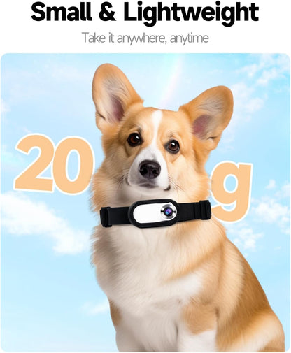 PetCam Halsband Camera - HD Mini Opname voor Honden en Katten