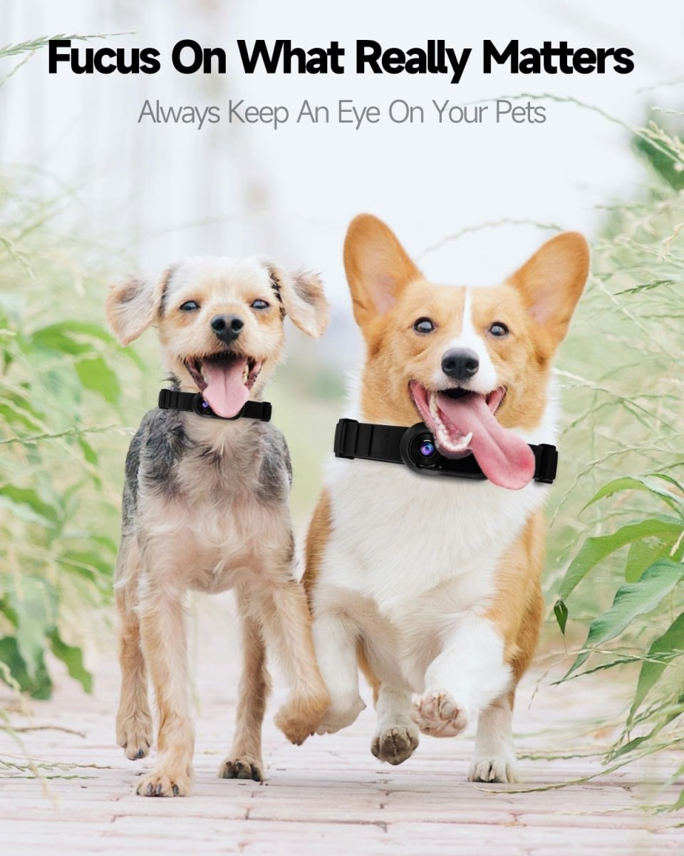 PetCam Halsband Camera - HD Mini Opname voor Honden en Katten
