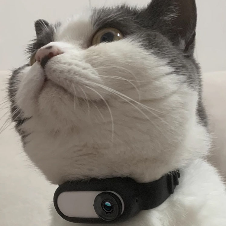 PetCam Halsband Camera - HD Mini Opname voor Honden en Katten