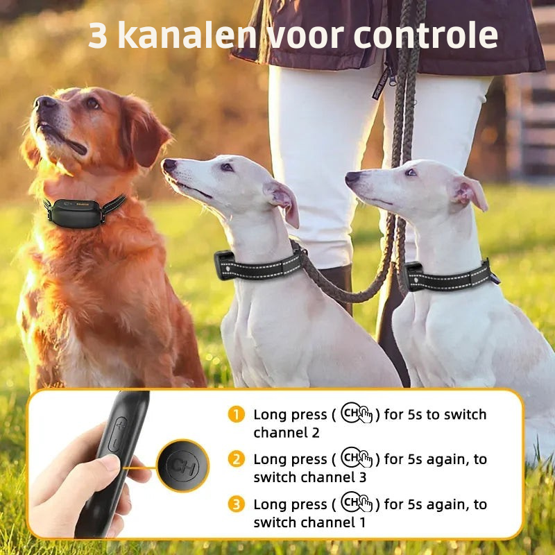 Waterdichte Hondentrainingshalsband Oplaadbaar