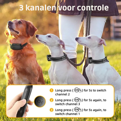Waterdichte Hondentrainingshalsband Oplaadbaar