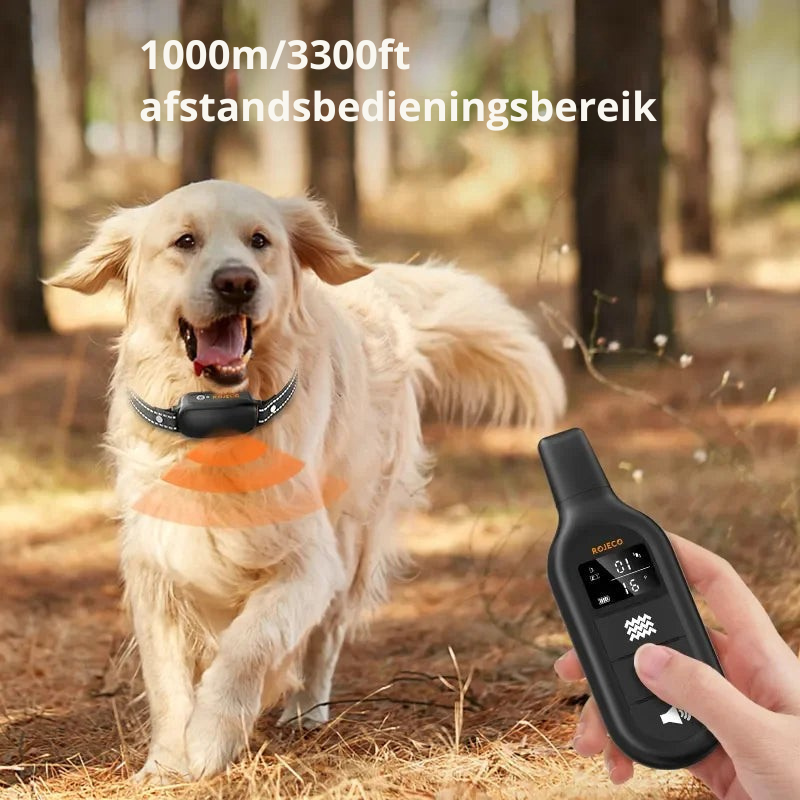 Waterdichte Hondentrainingshalsband Oplaadbaar