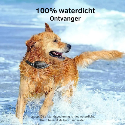 Waterdichte Hondentrainingshalsband Oplaadbaar