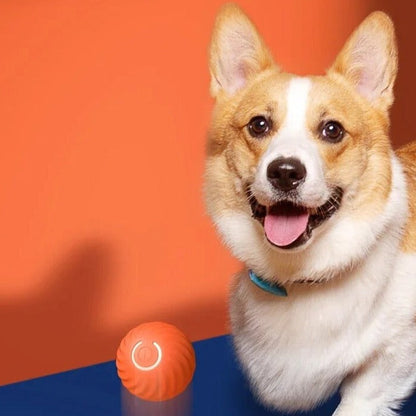 Interactieve Happende Bal voor Honden