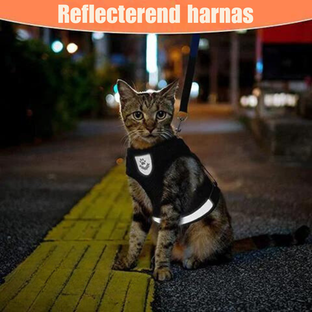Reflecterende Kat Harnas Set met Leash en Verstelbare Bandjes voor Nachtelijke Wandelingen