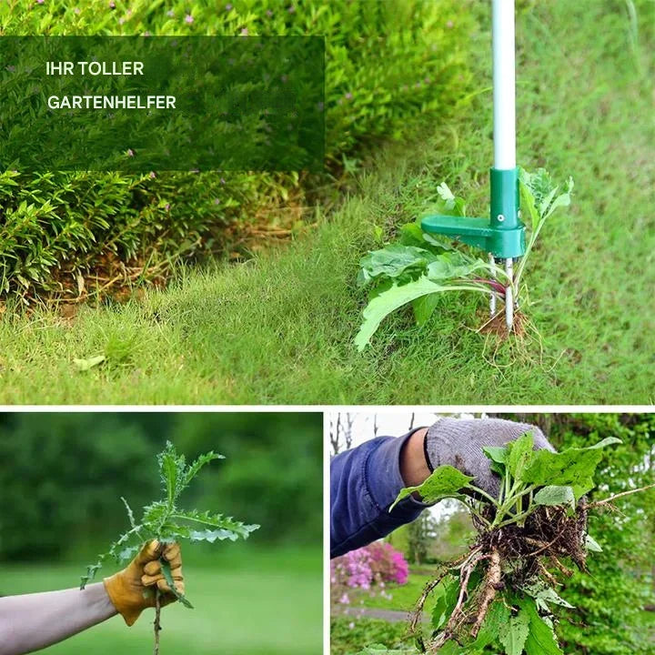 Staande Planten Wortelverwijderaar Effectief en Snel