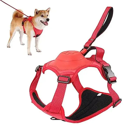 Huisdierriem met Flexibele Leash voor Honden