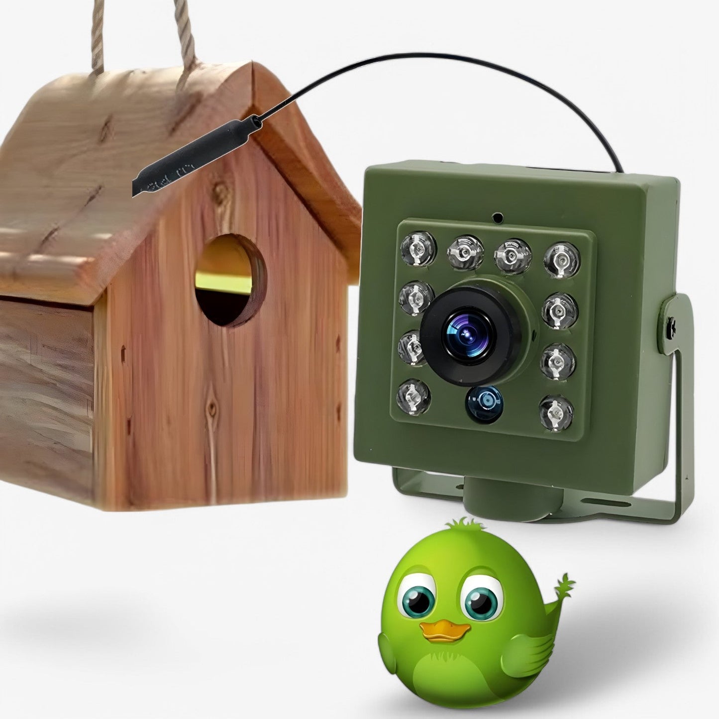 Wifi Vogelhuis Camera Full HD Dag en Nacht Beelden