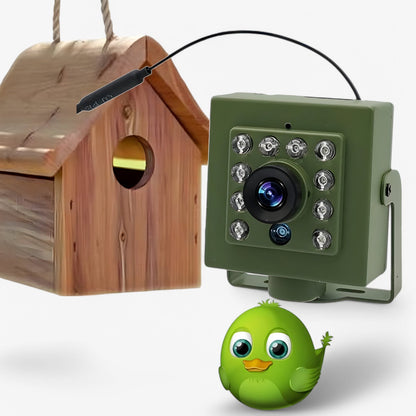 Wifi Vogelhuis Camera Full HD Dag en Nacht Beelden