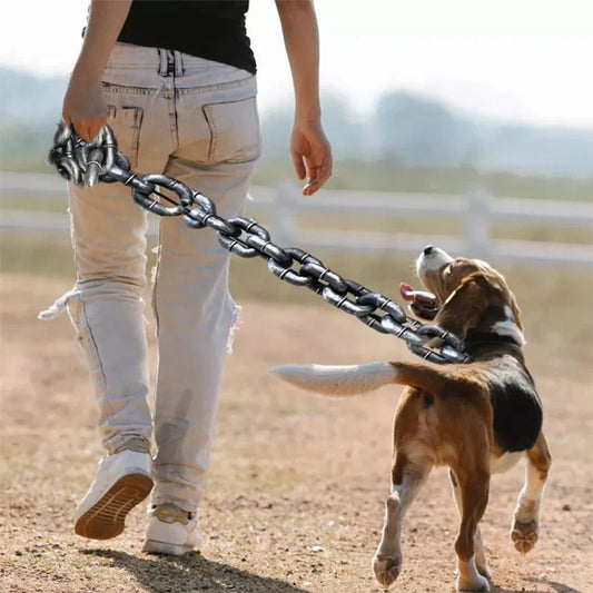 Mode Halsband Riem voor Honden met Stijl - Velinix
