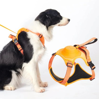 Huisdierriem met Flexibele Leash voor Honden - Velinix