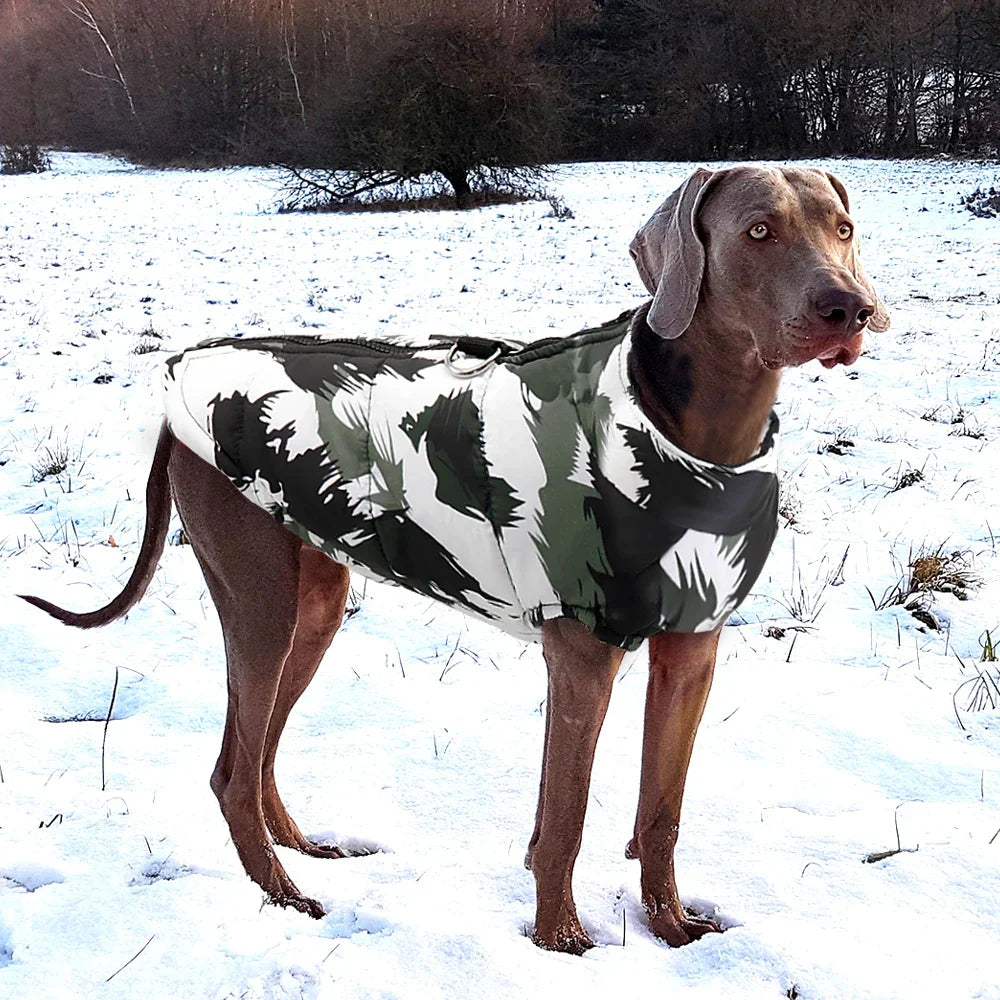 Luxe Hondenwinterjas Warm en Stijlvol voor Grote Honden