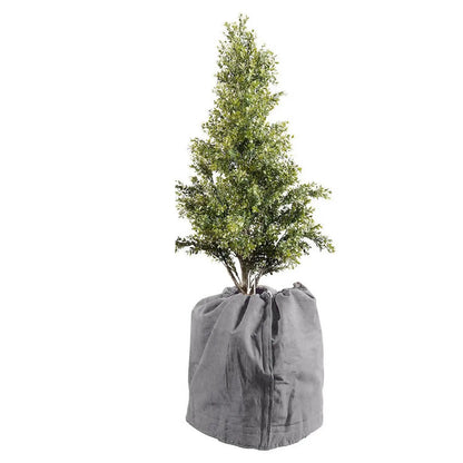Beschermhoes voor Struiken en Bomen tegen Vorst