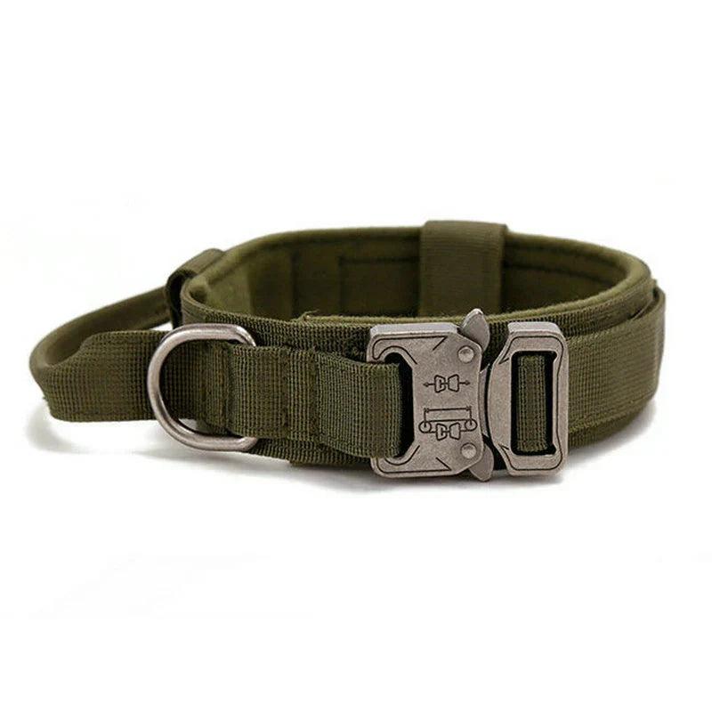 Reflecterende Hondenhalsband Set met Riem voor Training en Veiligheid