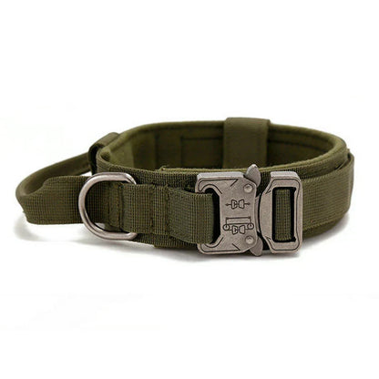 Reflecterende Hondenhalsband Set met Riem voor Training en Veiligheid