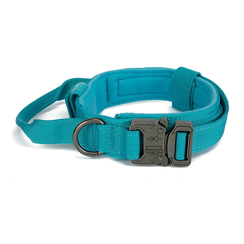 Reflecterende Hondenhalsband Set met Riem voor Training en Veiligheid