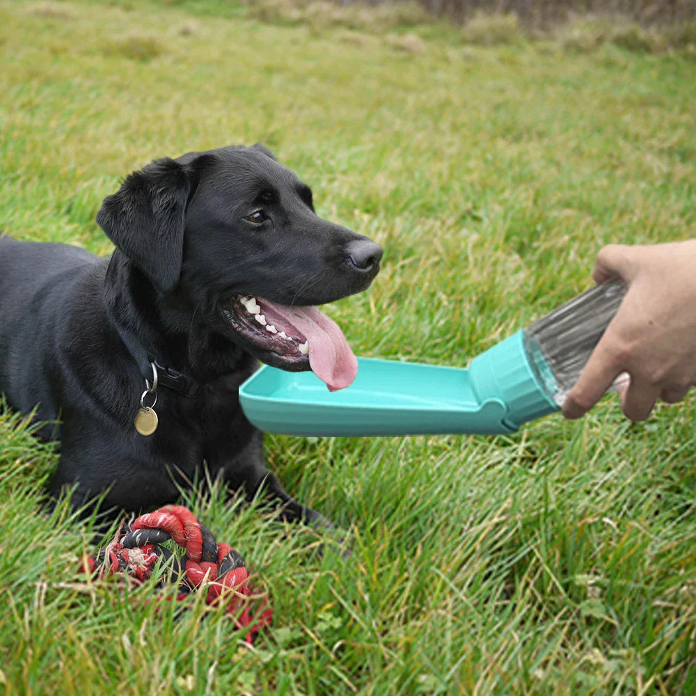 Opvouwbare Honden Waterfles 550ml voor Onderweg
