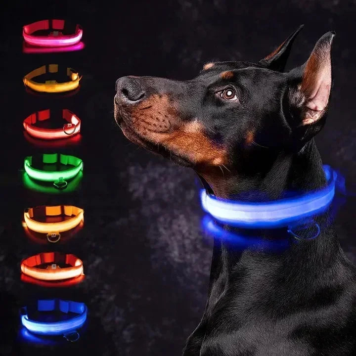 LED Hondenhalsband Verlicht en Oplaadbaar Waterdicht - Velinix