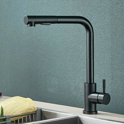 Zwarte Keukenkraan Uittreksels met 2-Modus Douche