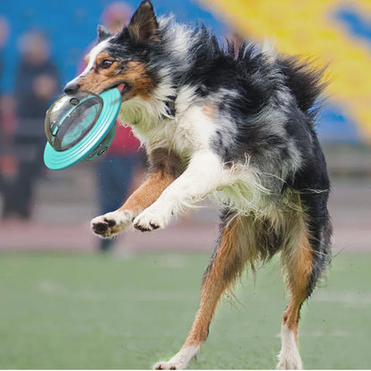 Interactief Honden- & Katten Speelgoed met Voederdispenser en Trainer