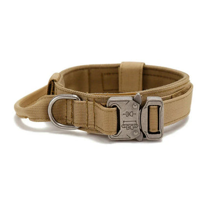 Reflecterende Hondenhalsband Set met Riem voor Training en Veiligheid