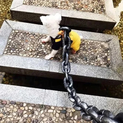 Mode Halsband Riem voor Honden met Stijl