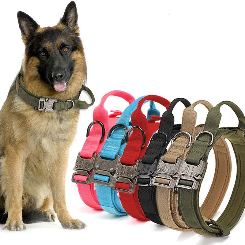 Reflecterende Hondenhalsband Set met Riem voor Training en Veiligheid - Velinix