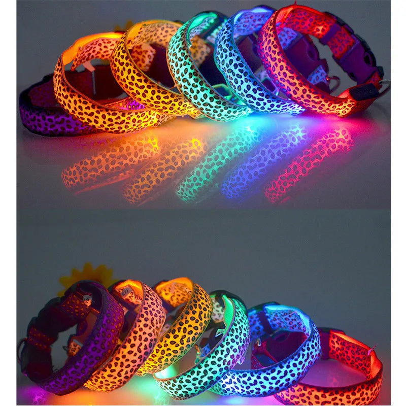 LED Hondenhalsband Reflecterend en Zichtbaar 's Nachts - Velinix