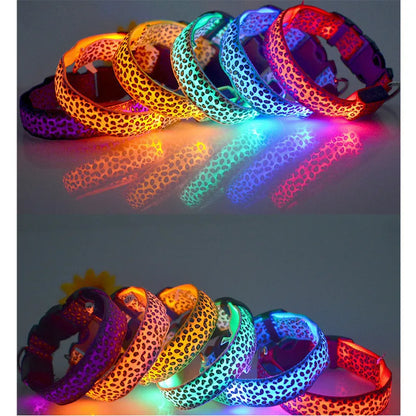 LED Hondenhalsband Reflecterend en Zichtbaar 's Nachts - Velinix