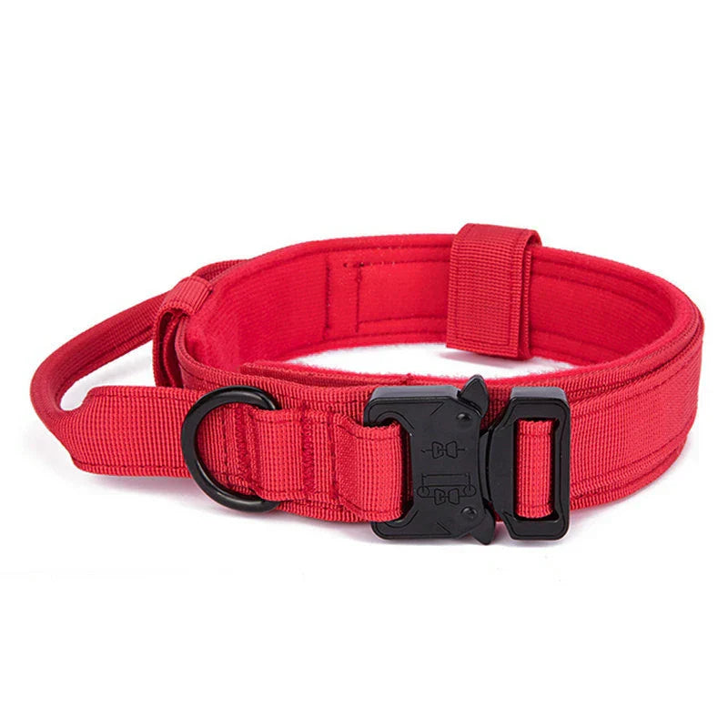 Reflecterende Hondenhalsband Set met Riem voor Training en Veiligheid