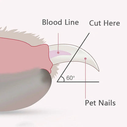 Nagelschaar met LED-Licht voor Honden en Katten, Veilig en Antislip