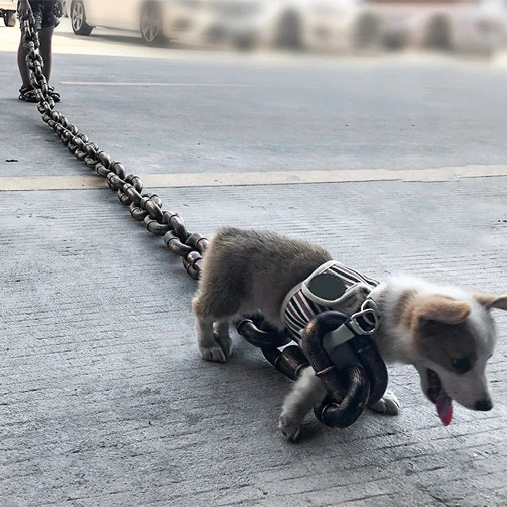 Mode Halsband Riem voor Honden met Stijl