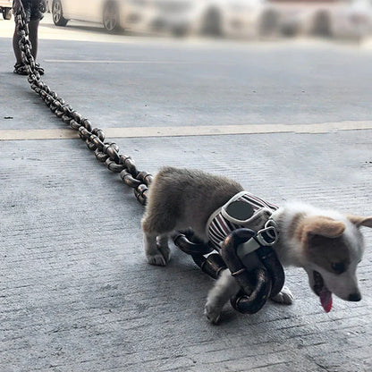 Mode Halsband Riem voor Honden met Stijl
