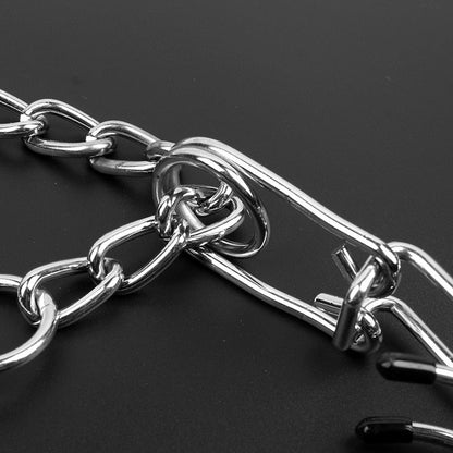 Hond Halsband Pincher Stijl B Leer