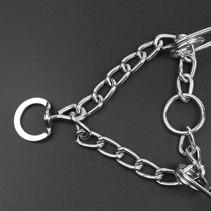 Hond Halsband Pincher Stijl B Leer