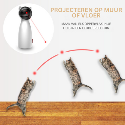 Laser Speelgoed voor Katten Gezond en Gelukkig