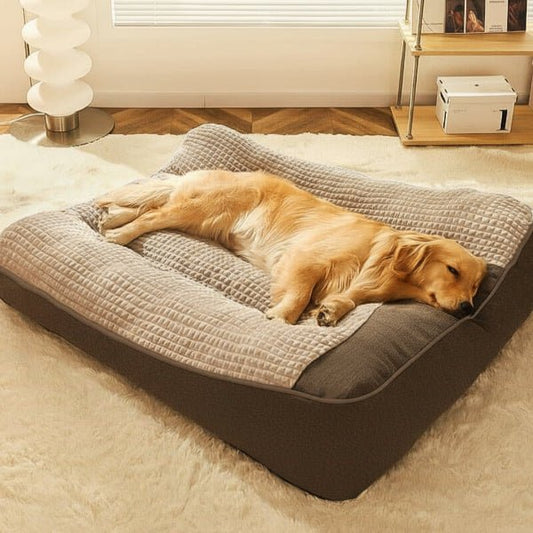 Orthopedische Hondenmand met Stevige Rand en Wasbare Hoes voor Extra Comfort - Velinix