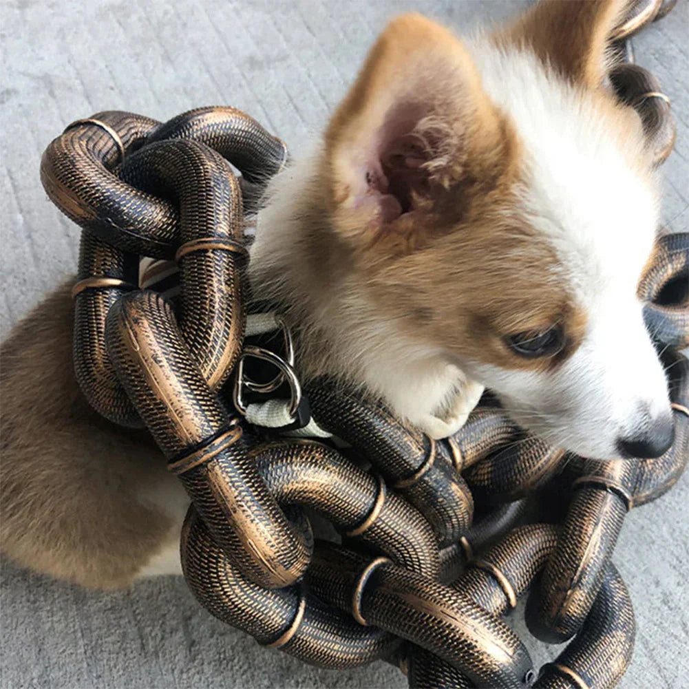 Mode Halsband Riem voor Honden met Stijl