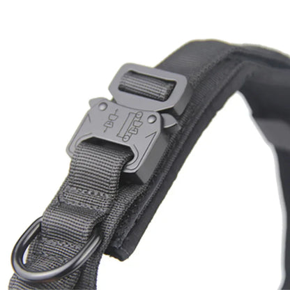 Reflecterende Hondenhalsband Set met Riem voor Training en Veiligheid