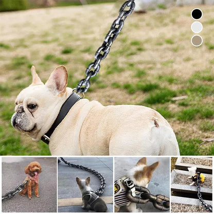 Mode Halsband Riem voor Honden met Stijl