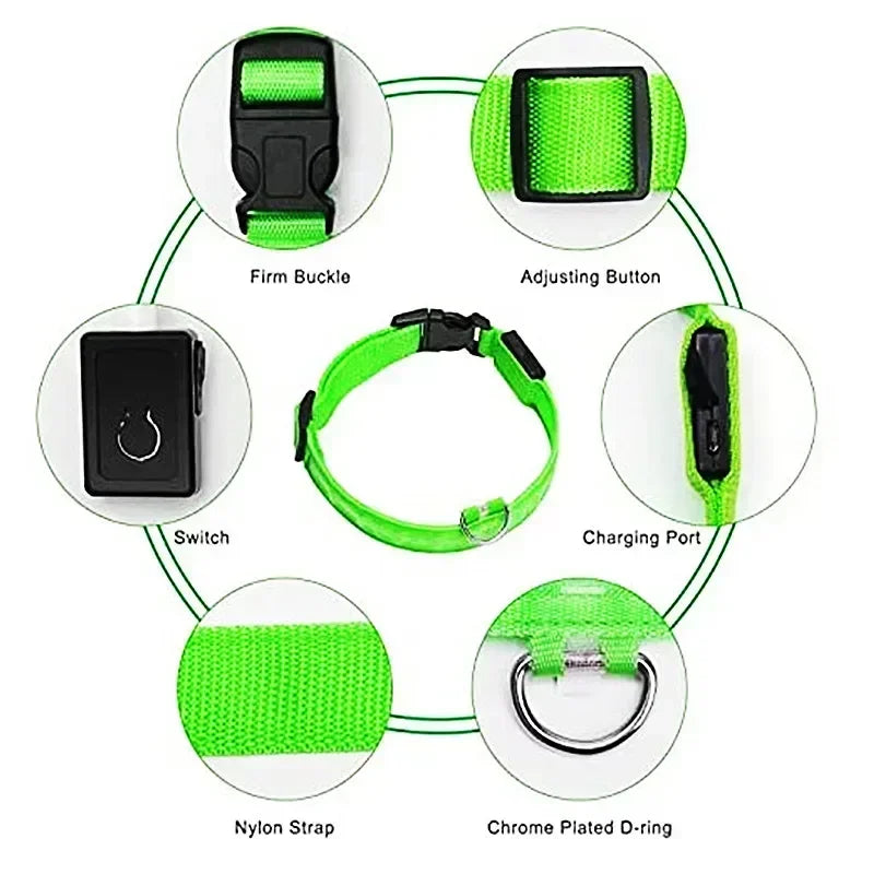 LED Hondenhalsband Verlicht en Oplaadbaar Waterdicht