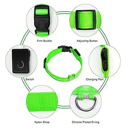 LED Hondenhalsband Verlicht en Oplaadbaar Waterdicht