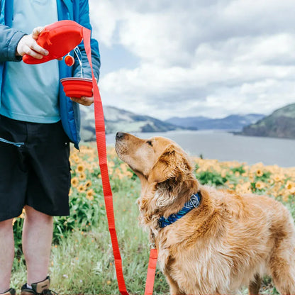 Hond Drinkfles Waterbijhouder voor Honden - Velinix