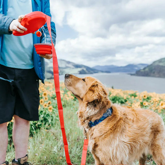 Hond Drinkfles Waterbijhouder voor Honden - Velinix