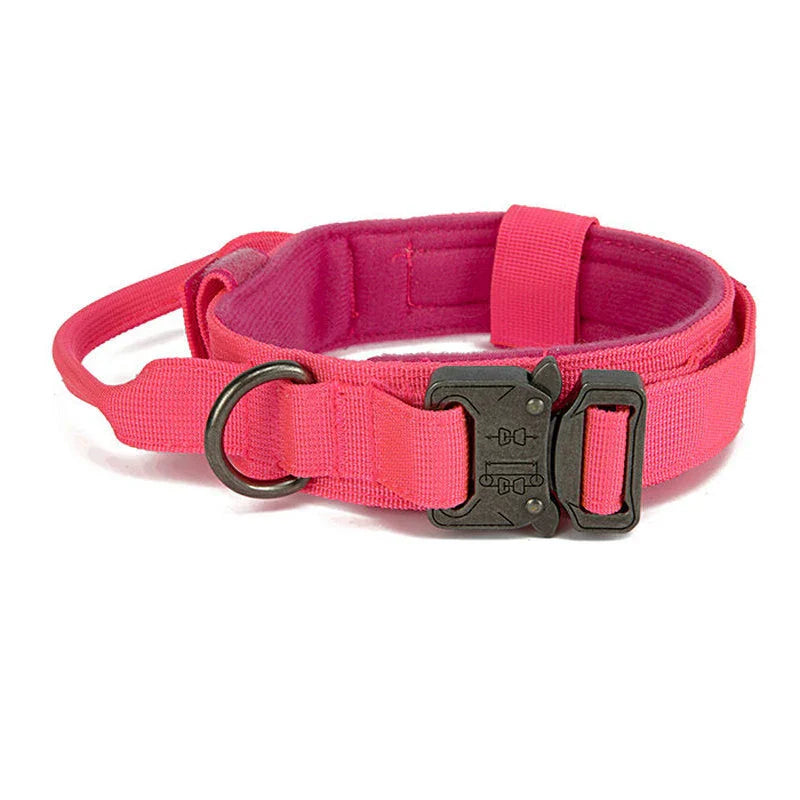 Reflecterende Hondenhalsband Set met Riem voor Training en Veiligheid