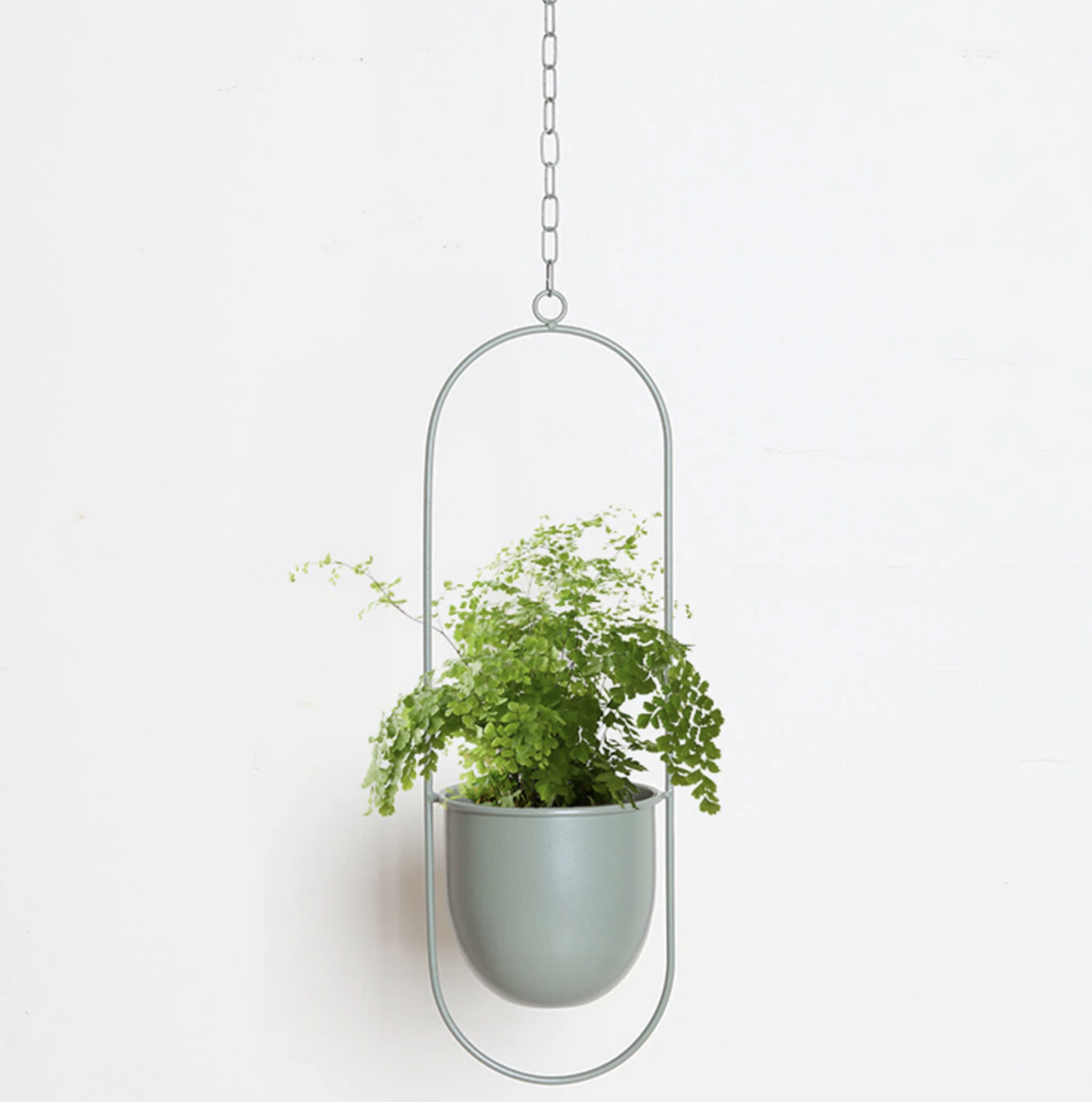 Muurplantenhouder Metalen Elegante Design voor Planten