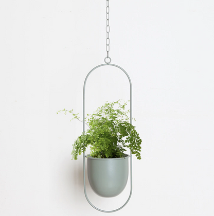 Muurplantenhouder Metalen Elegante Design voor Planten