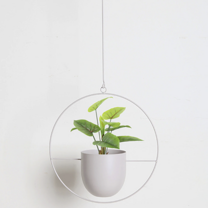 Muurplantenhouder Metalen Elegante Design voor Planten